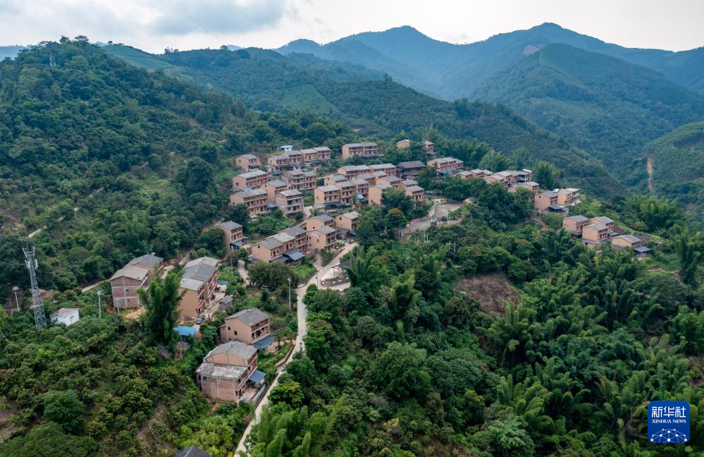 走进壮族风情坡芽村