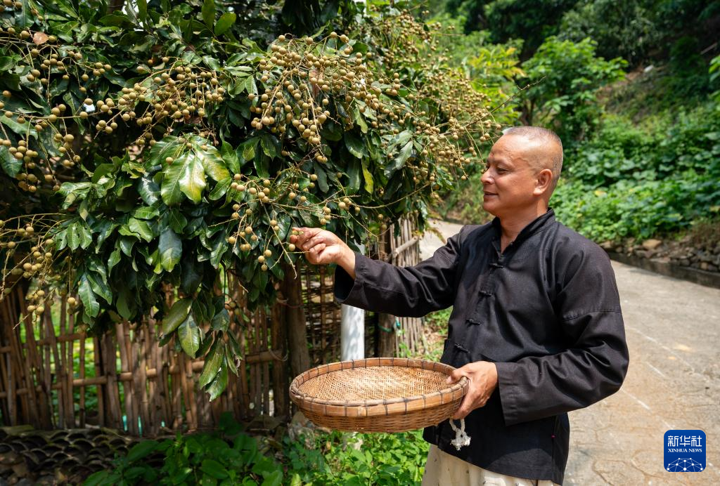 走进壮族风情坡芽村