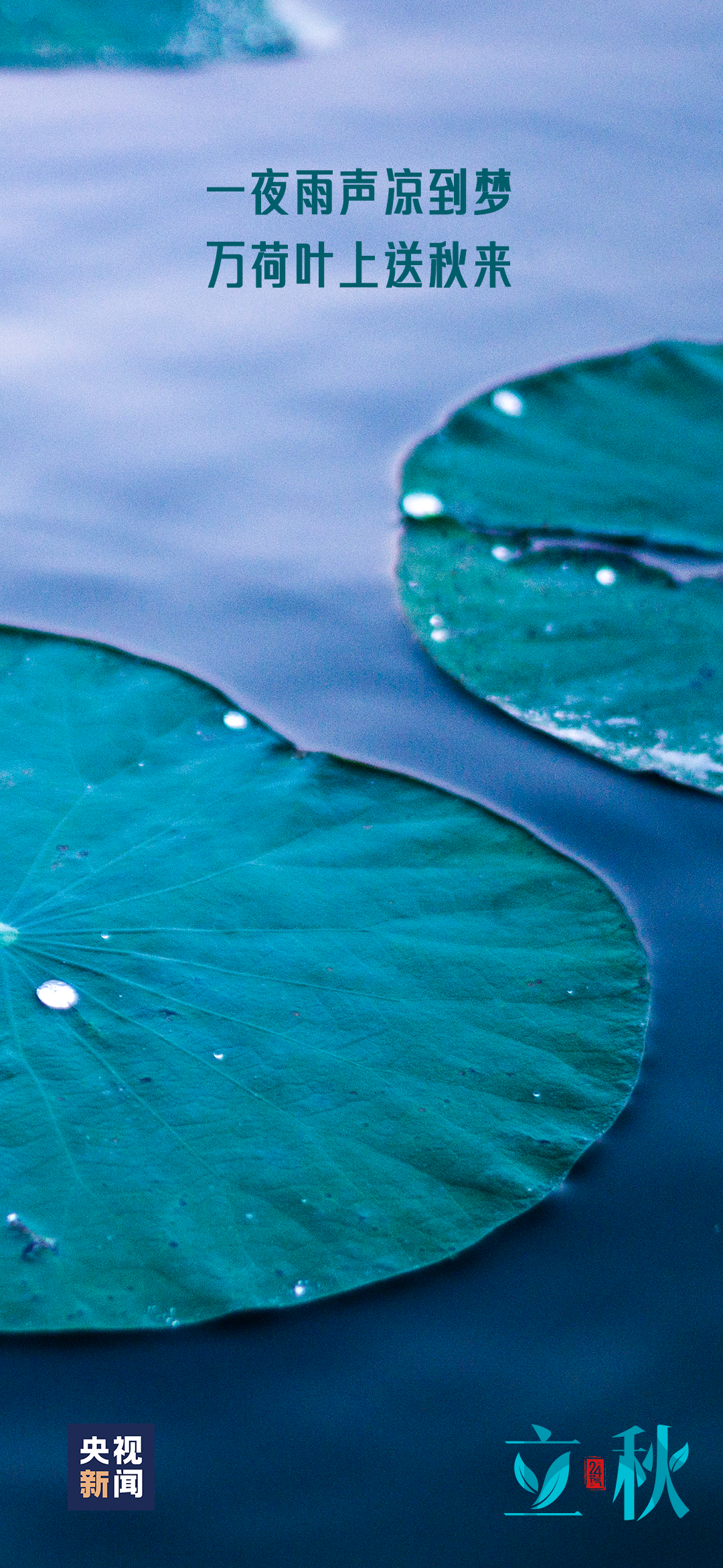 一～叶～知～秋～