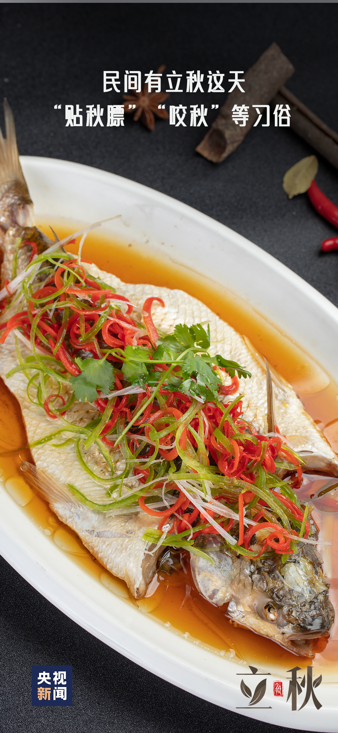 一～叶～知～秋～