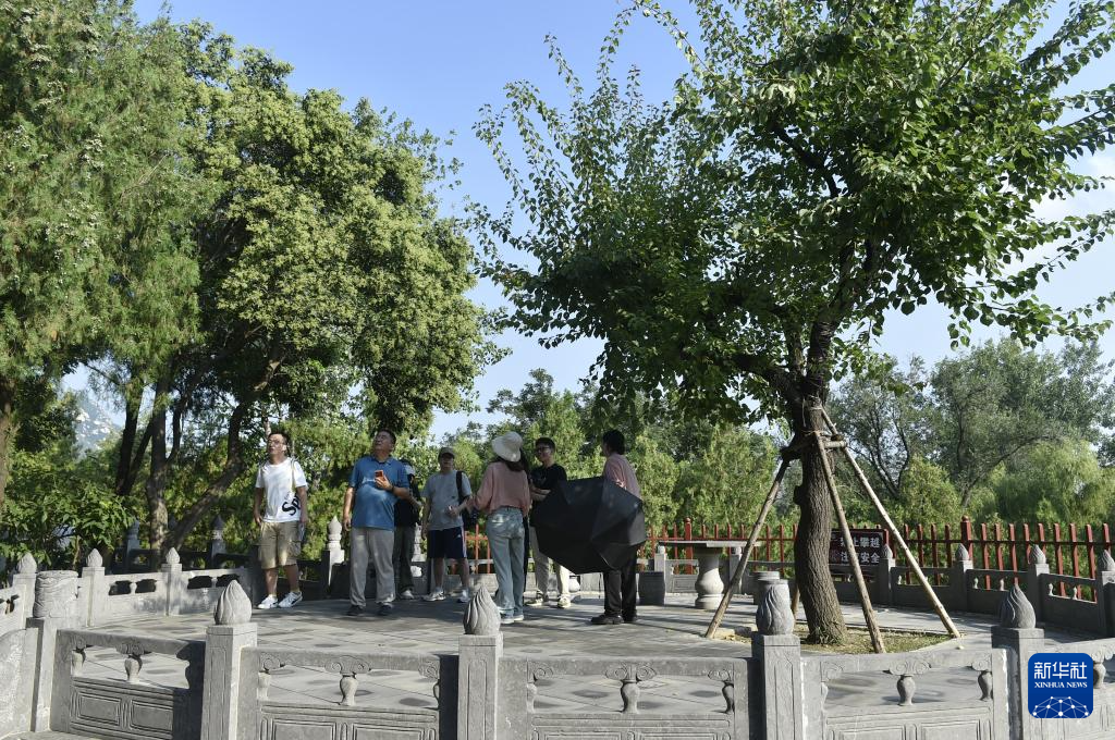 走进嵩阳书院 感受古韵文风