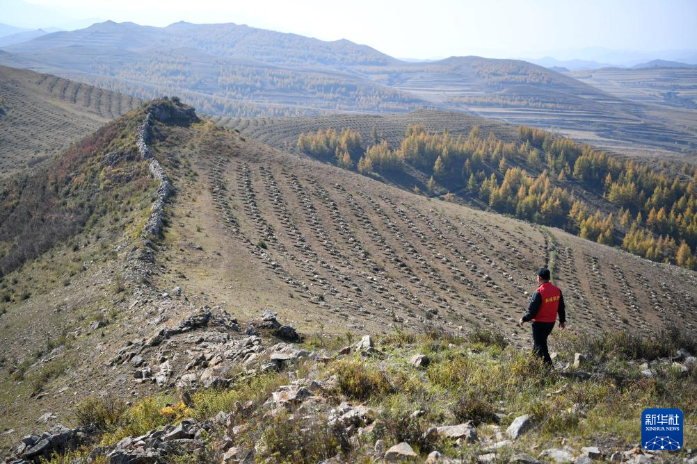 坝上长城“守望者”