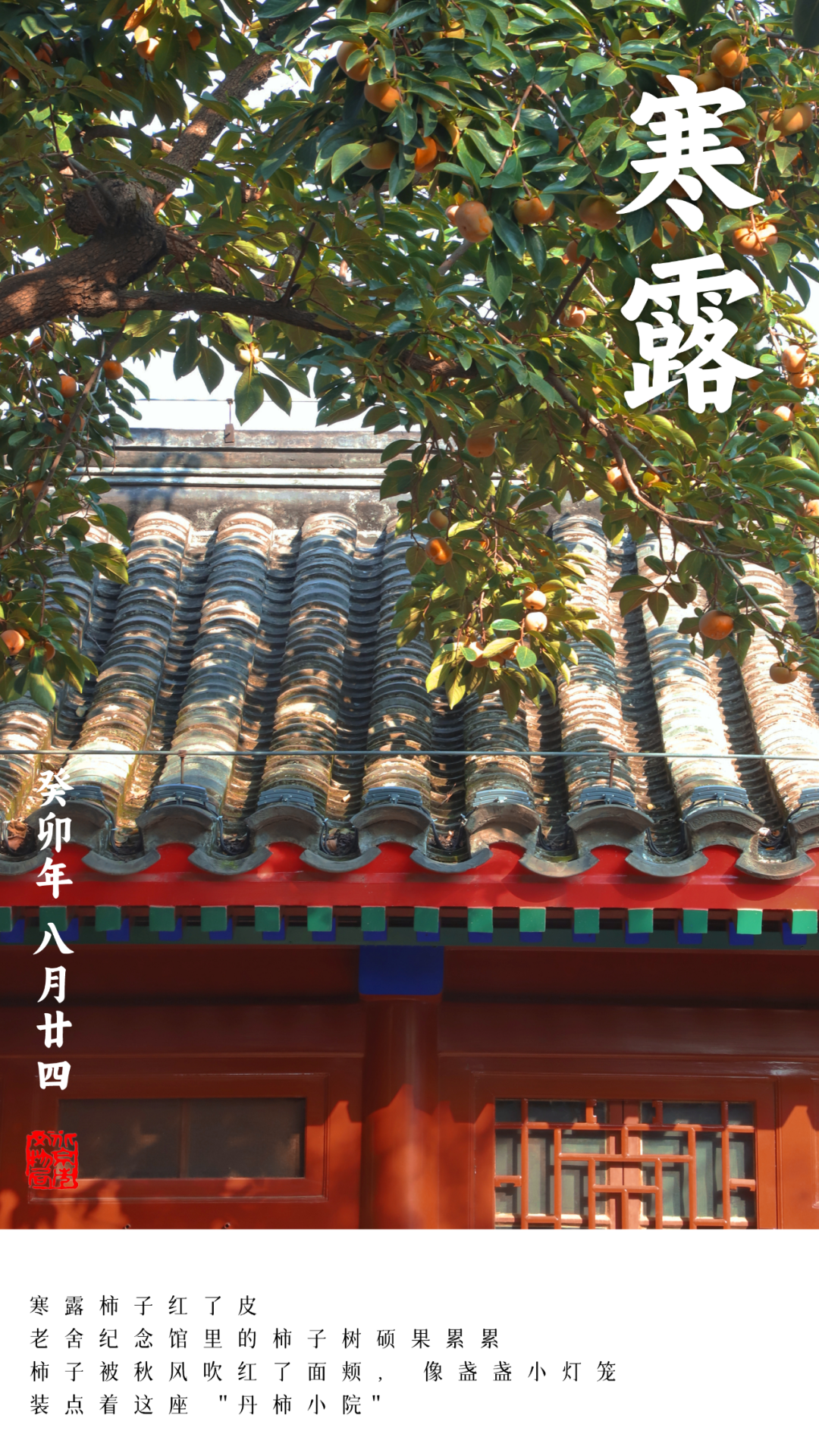 二十四节气之寒露