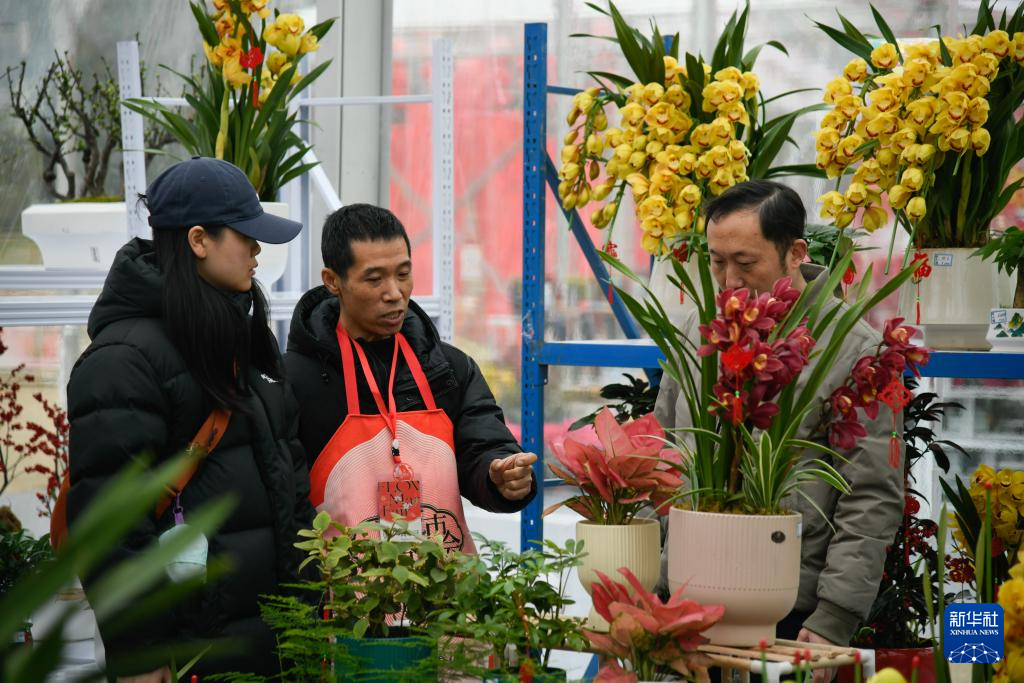 成都：逛年宵花市 喜迎新春