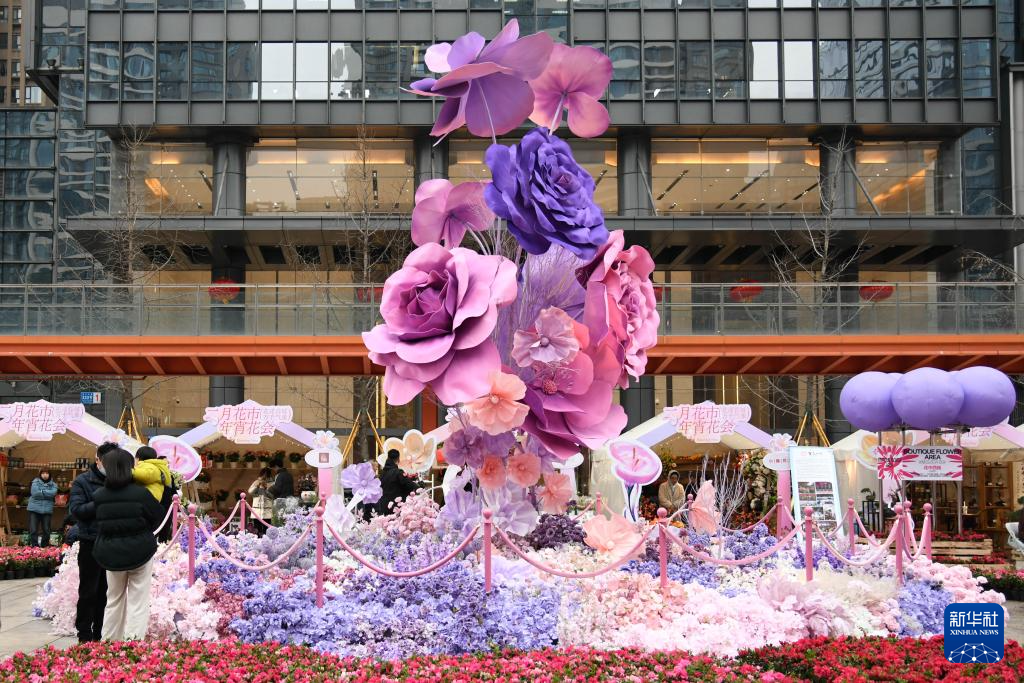 成都：逛年宵花市 喜迎新春