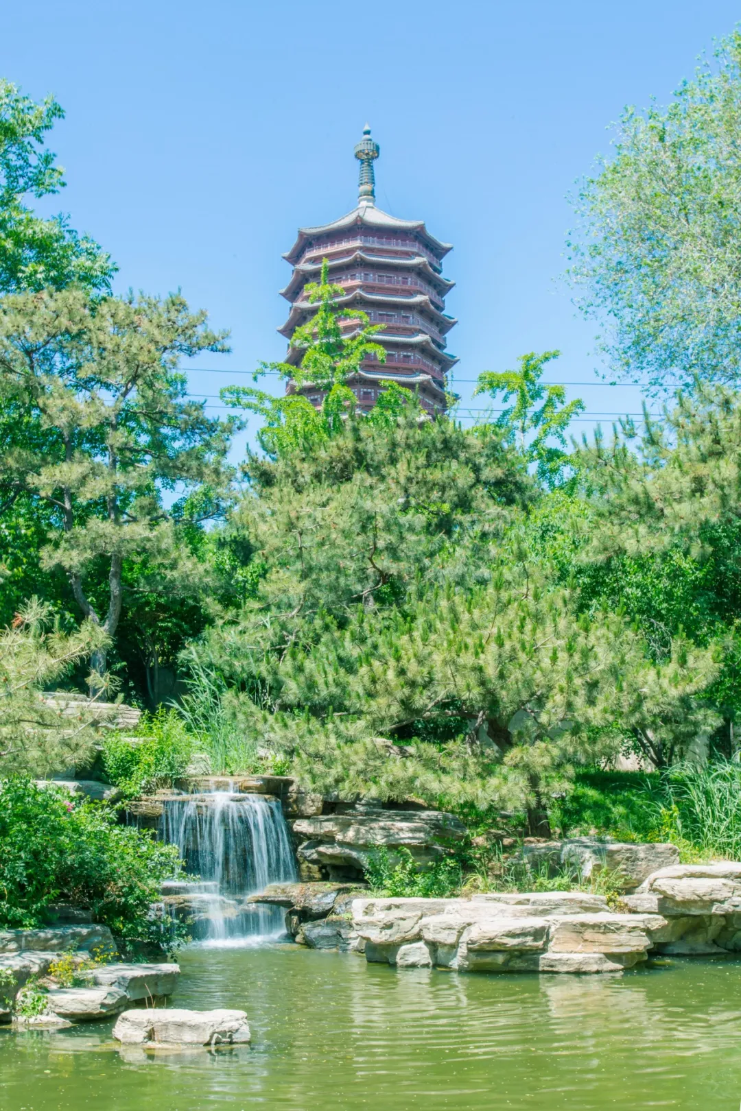 夏意渐盛，人生最好是“小满”