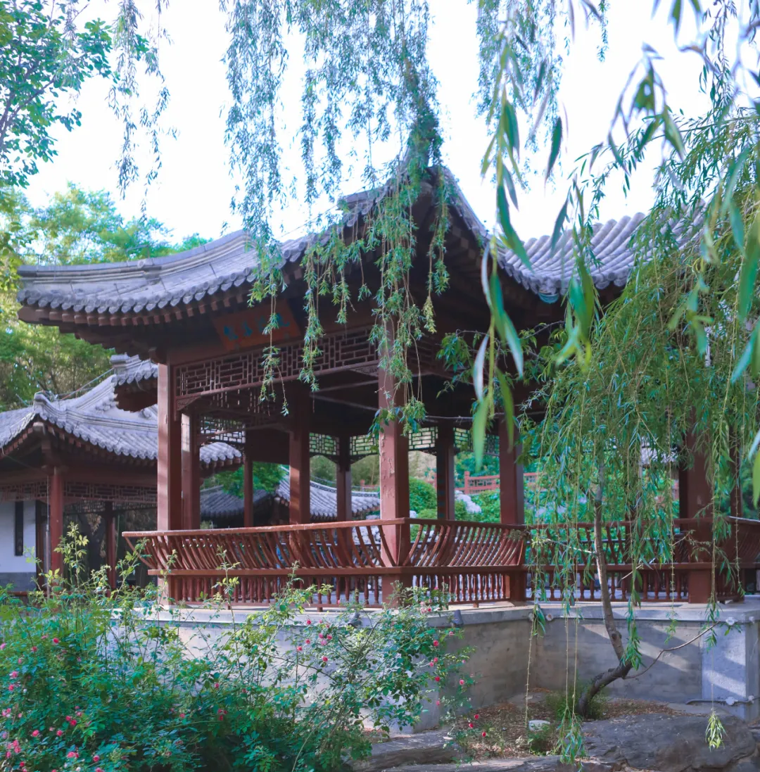 夏意渐盛，人生最好是“小满”