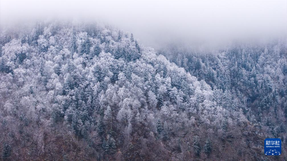 官鹅沟雪后美如画