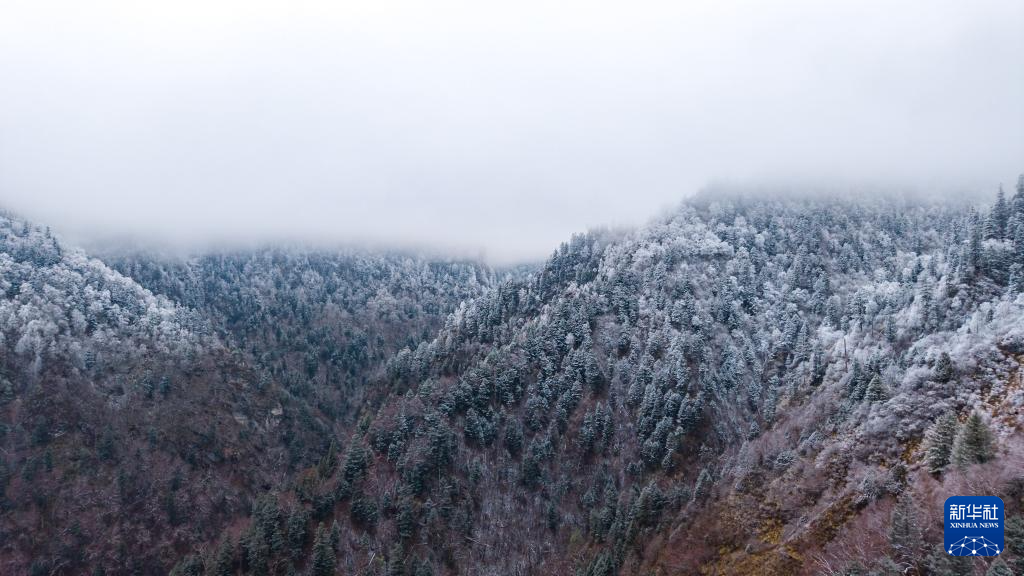 官鹅沟雪后美如画