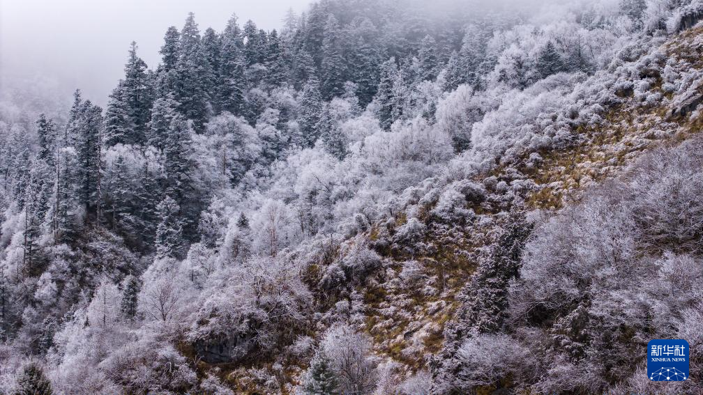 官鹅沟雪后美如画