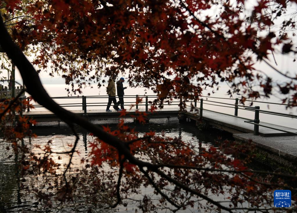 晨游西湖赏冬景