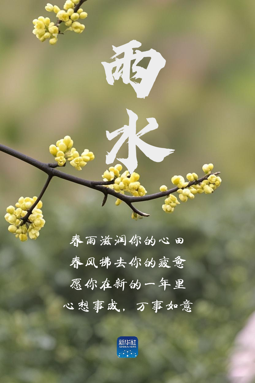 雨水！祝你水到渠成