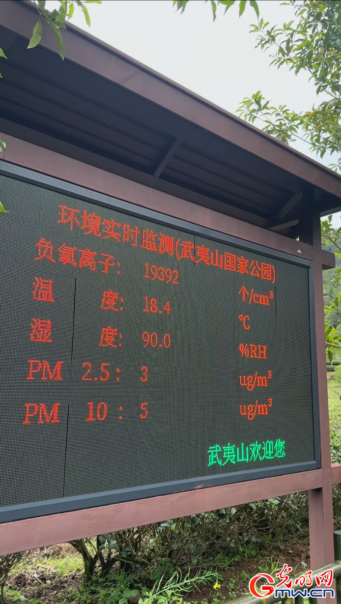 【何以中国】武夷山下话“三茶”：一片叶子带富一方百姓