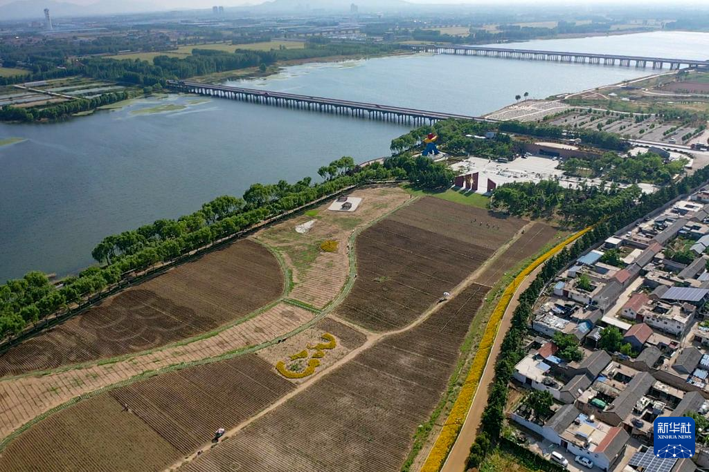 新时代中国调研行之文化中华｜在山东大汶口探寻文明曙光