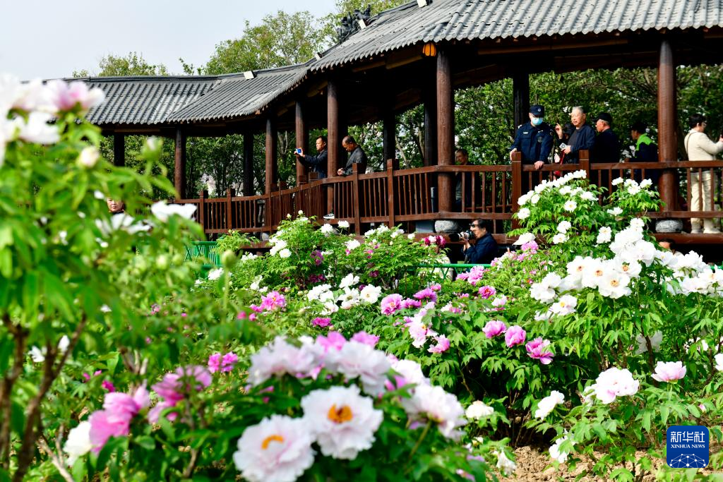 中国之城丨山东菏泽：黄河臂弯里的水韵花城