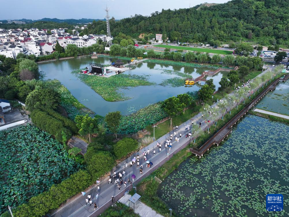 浙江建德：“莲子之乡”举办夏日荷花节