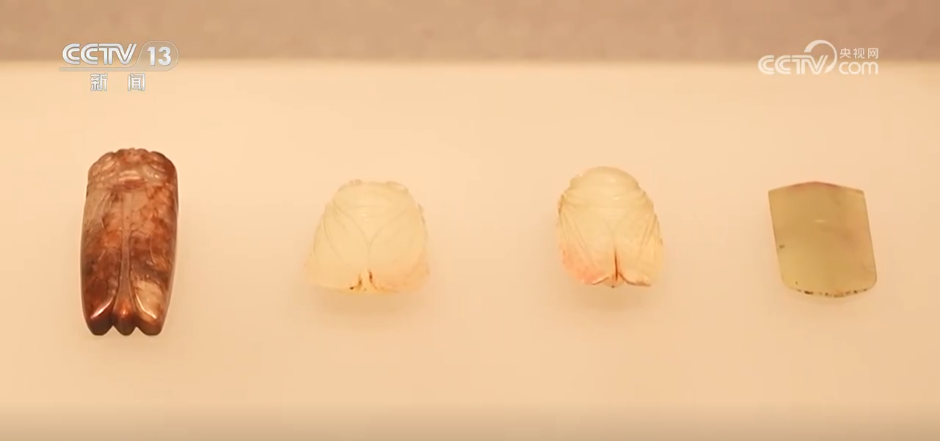 暑日“打卡”博物馆特色展览 “文化消暑”成为假期出游新风尚