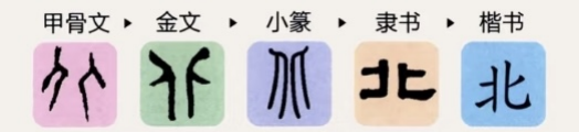 社教活动｜这场社教活动，带你了解汉字文化与奥运碰撞的魅力