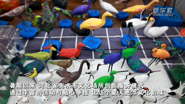 河北衡水：文化场所创新服务模式 点亮暑期生活