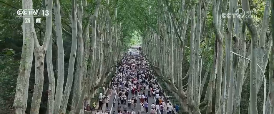 “红色底蕴+振兴新颜”“非遗+潮玩”……假日文旅亮点多 解锁游客度假热门“新宠”