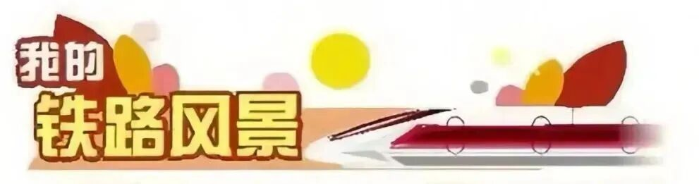 我的铁路风景 | 枕木上的年轮