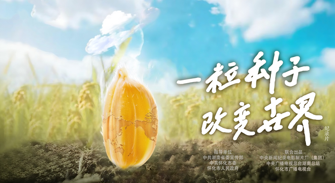 稻浪千里 禾下苍穹｜纪录片《一粒种子改变世界》即将播出
