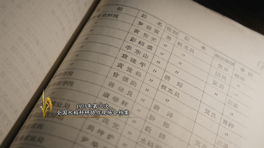 稻浪千里 禾下苍穹｜纪录片《一粒种子改变世界》即将播出