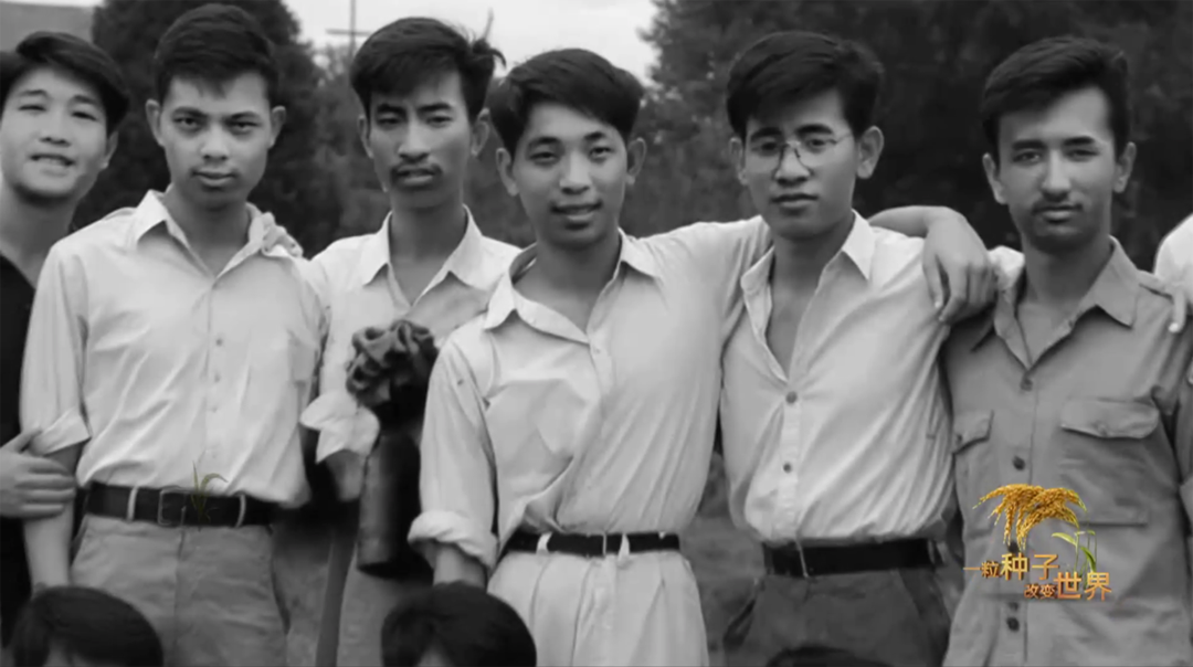 稻浪千里 禾下苍穹｜纪录片《一粒种子改变世界》即将播出