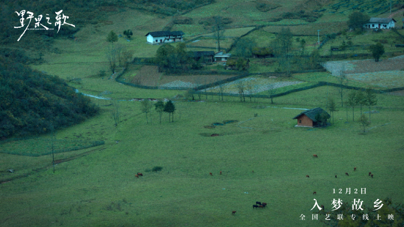 聆听一曲故土与记忆的银幕挽歌 《野果之歌》将于12月2日登陆全国艺联