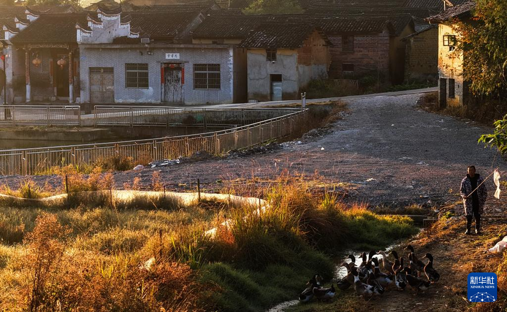 文化中国行·传统村落人文影像志丨湘南古村:深巷古祠间的诗意与乡愁