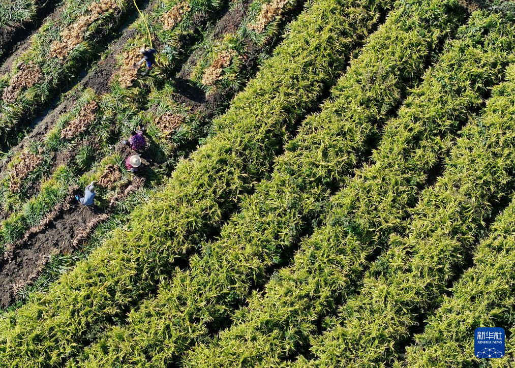 文化中国行·传统村落人文影像志丨湘南古村:深巷古祠间的诗意与乡愁