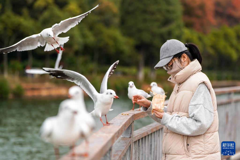 滇池：美景如画引客来