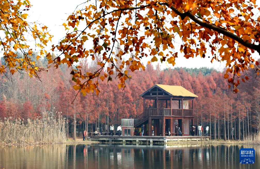 缤纷冬日景如画