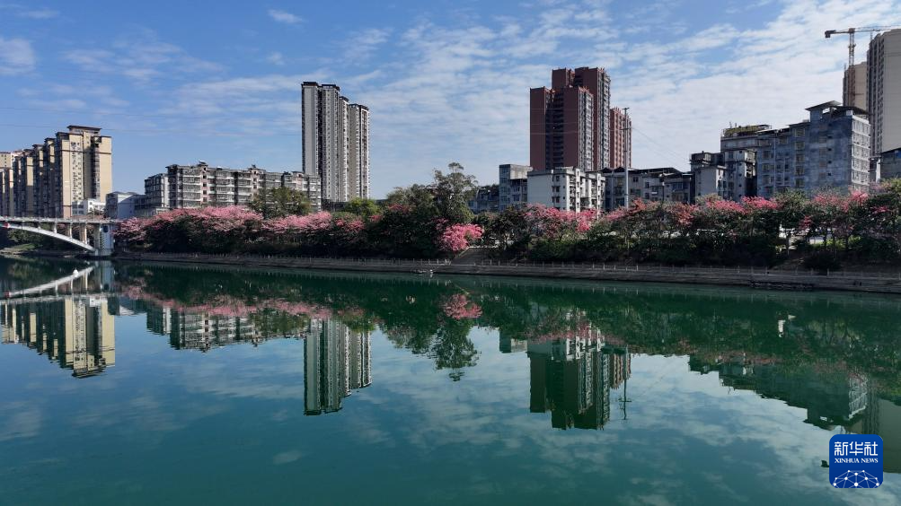 缤纷冬日景如画