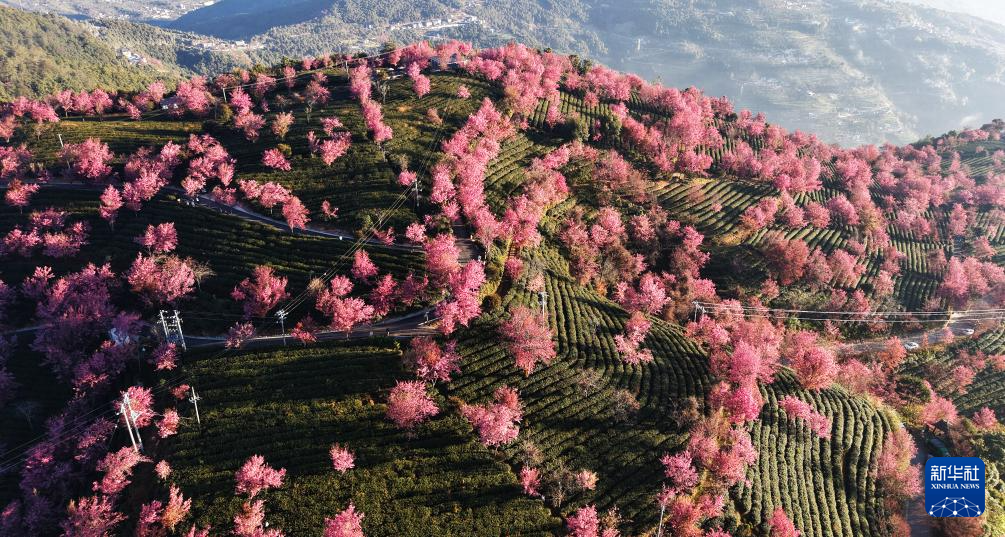 缤纷冬日景如画