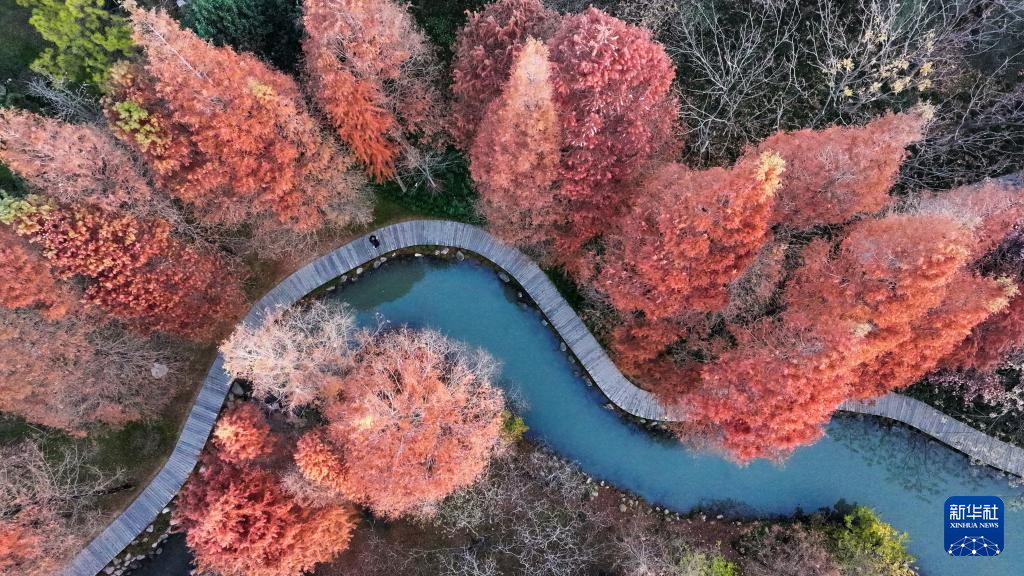 缤纷冬日景如画