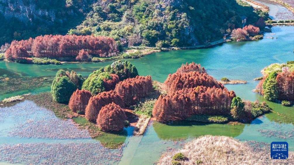 缤纷冬日景如画