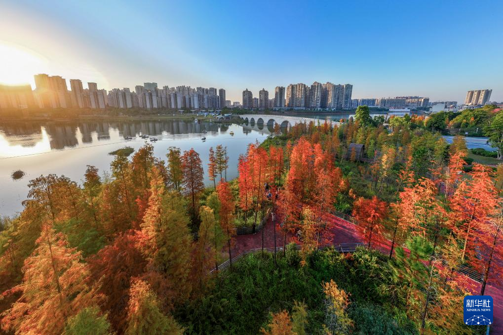 缤纷冬日景如画