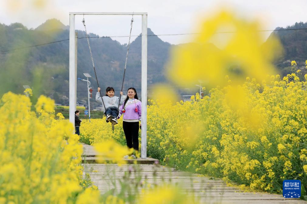 亲近自然,拥抱春天