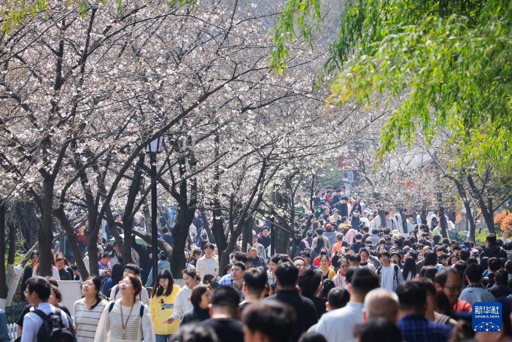 亲近自然,拥抱春天