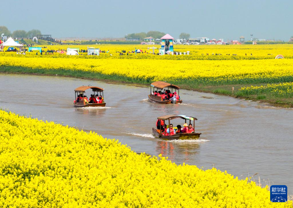 亲近自然,拥抱春天