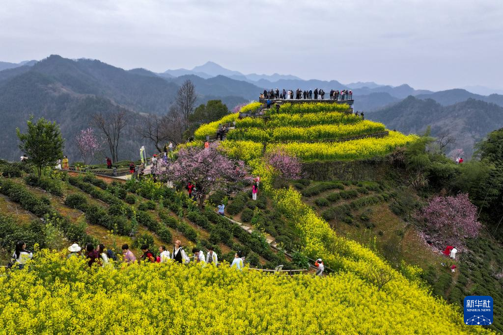 亲近自然,拥抱春天