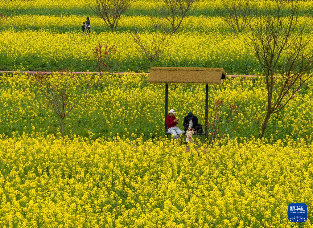 亲近自然,拥抱春天