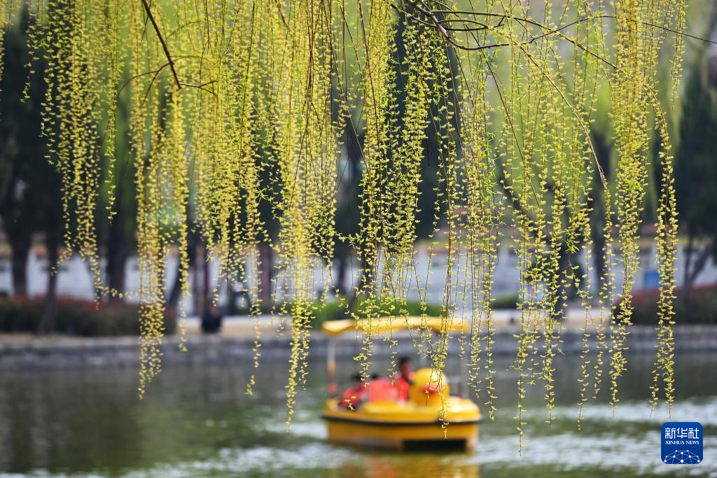 亲近自然,拥抱春天