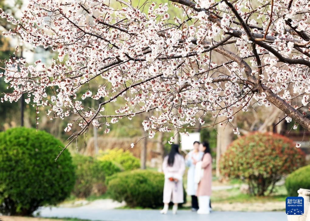 亲近自然,拥抱春天