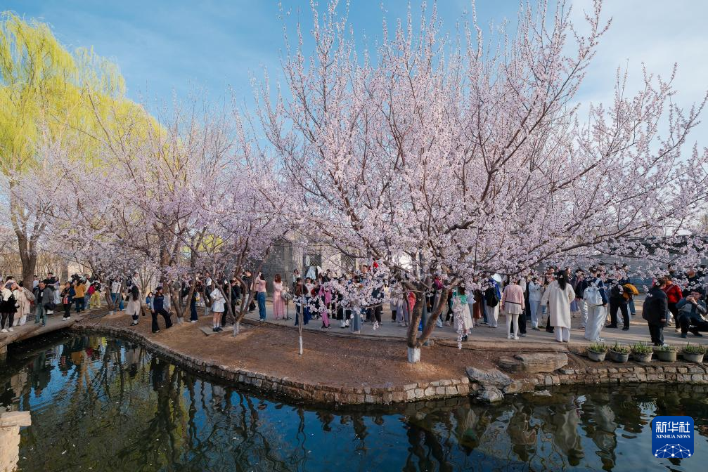 亲近自然,拥抱春天