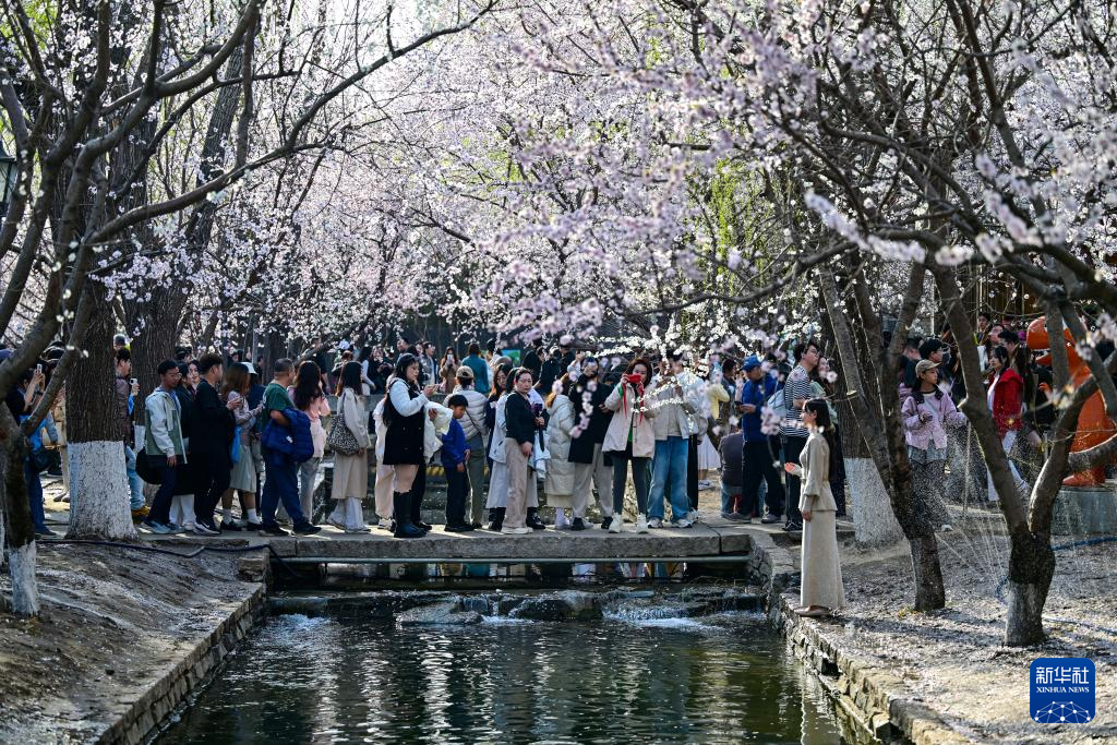 亲近自然,拥抱春天