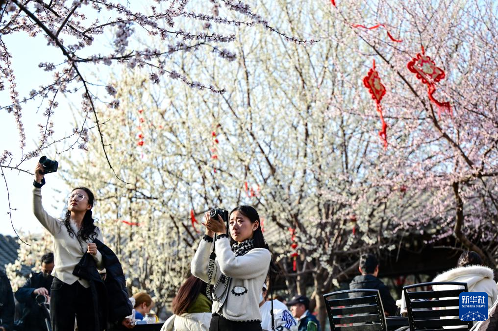 亲近自然,拥抱春天