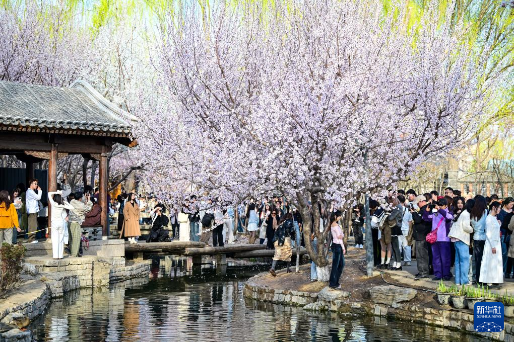 亲近自然,拥抱春天