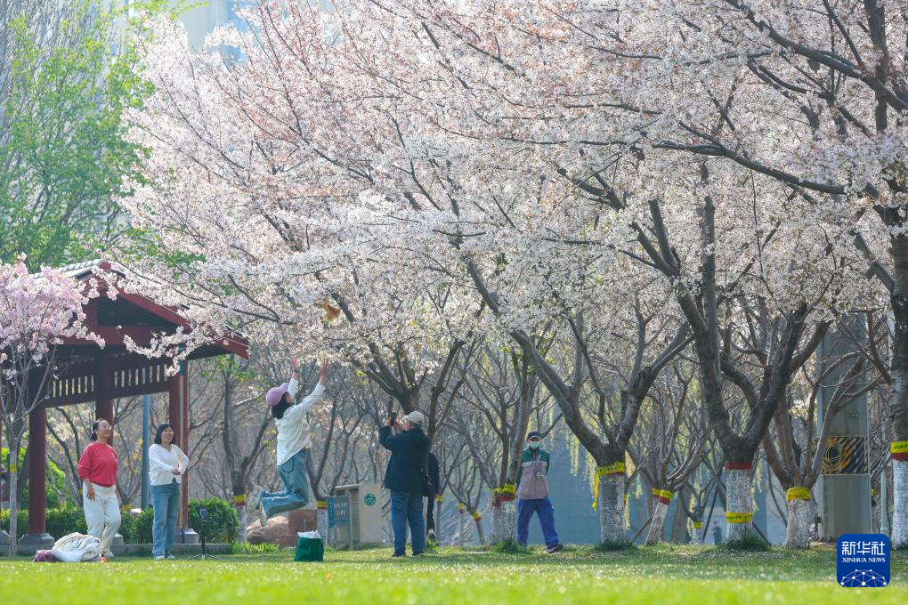 春色如许 莫负花期